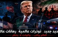 مطاردة في الظل