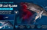 لحظة لا تتكرر إلا مرة واحدة في العمر... فوق مياه المحيط الهادئ